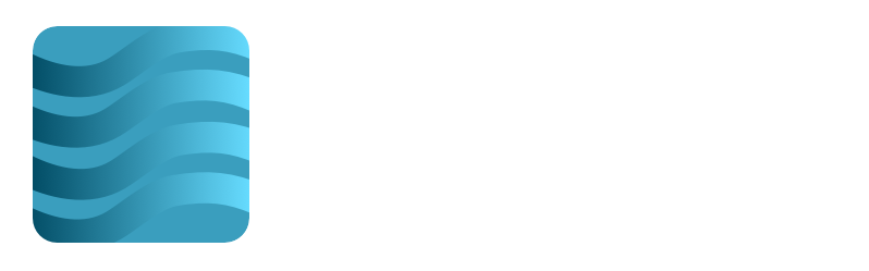 MobileWorkForce VPN